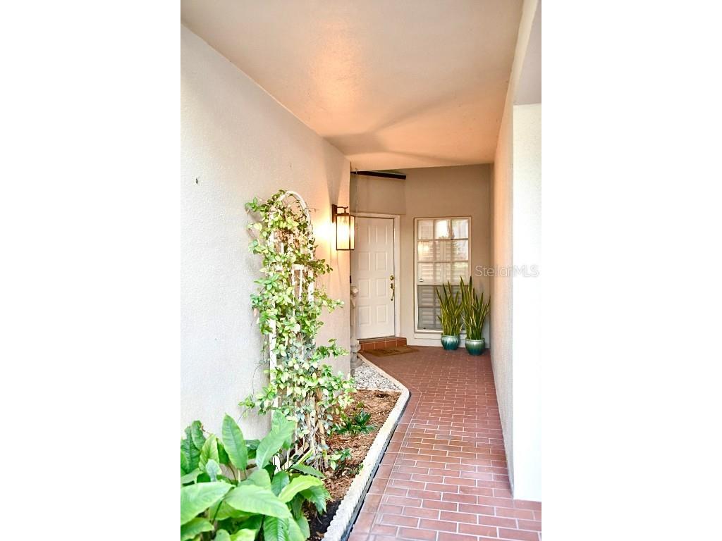 4230 Arborwood Lane Tampa FL 33618 TB8454094 image3