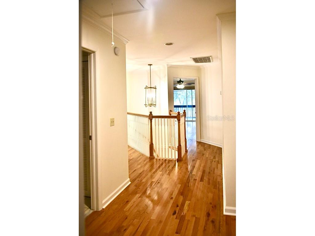 4230 Arborwood Lane Tampa FL 33618 TB8454094 image4