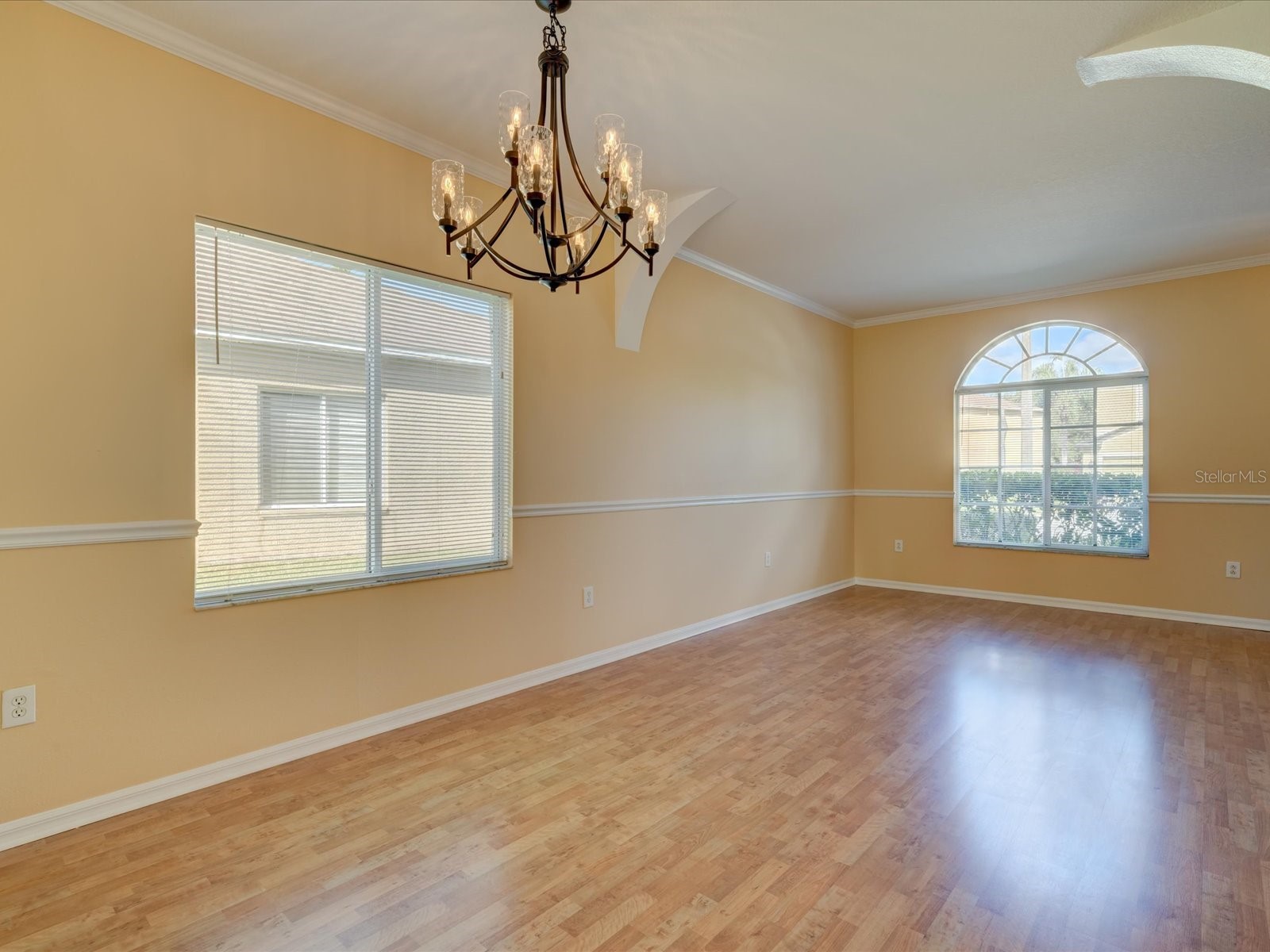 4230 Harbor Lake Drive Lutz FL 33558 TB8503672 image10
