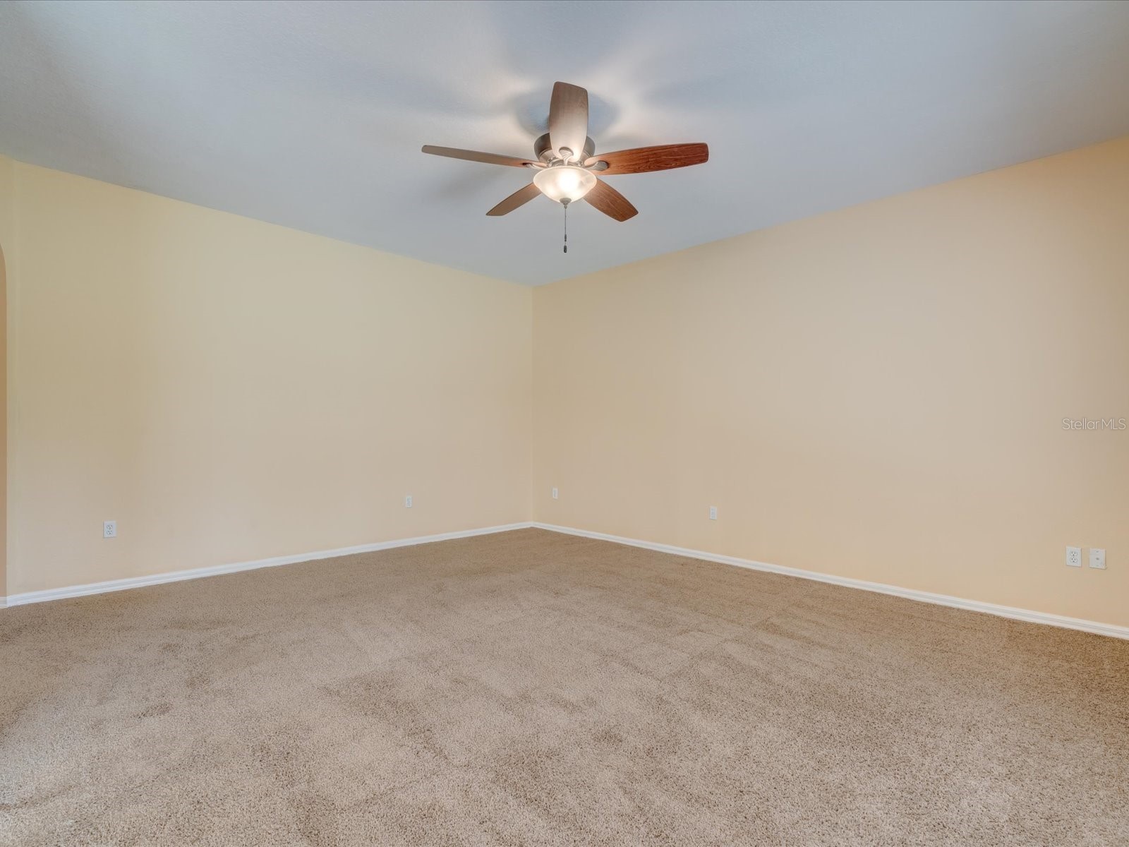 4230 Harbor Lake Drive Lutz FL 33558 TB8503672 image20