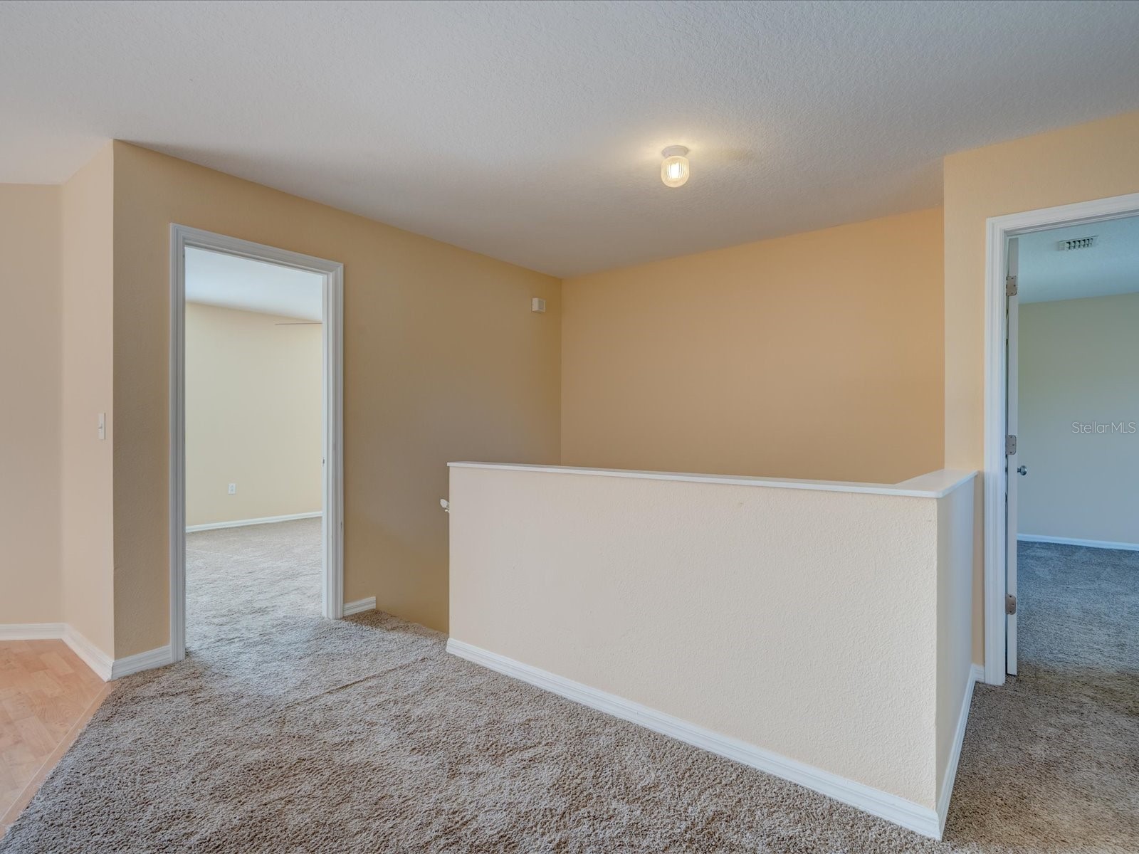4230 Harbor Lake Drive Lutz FL 33558 TB8503672 image24