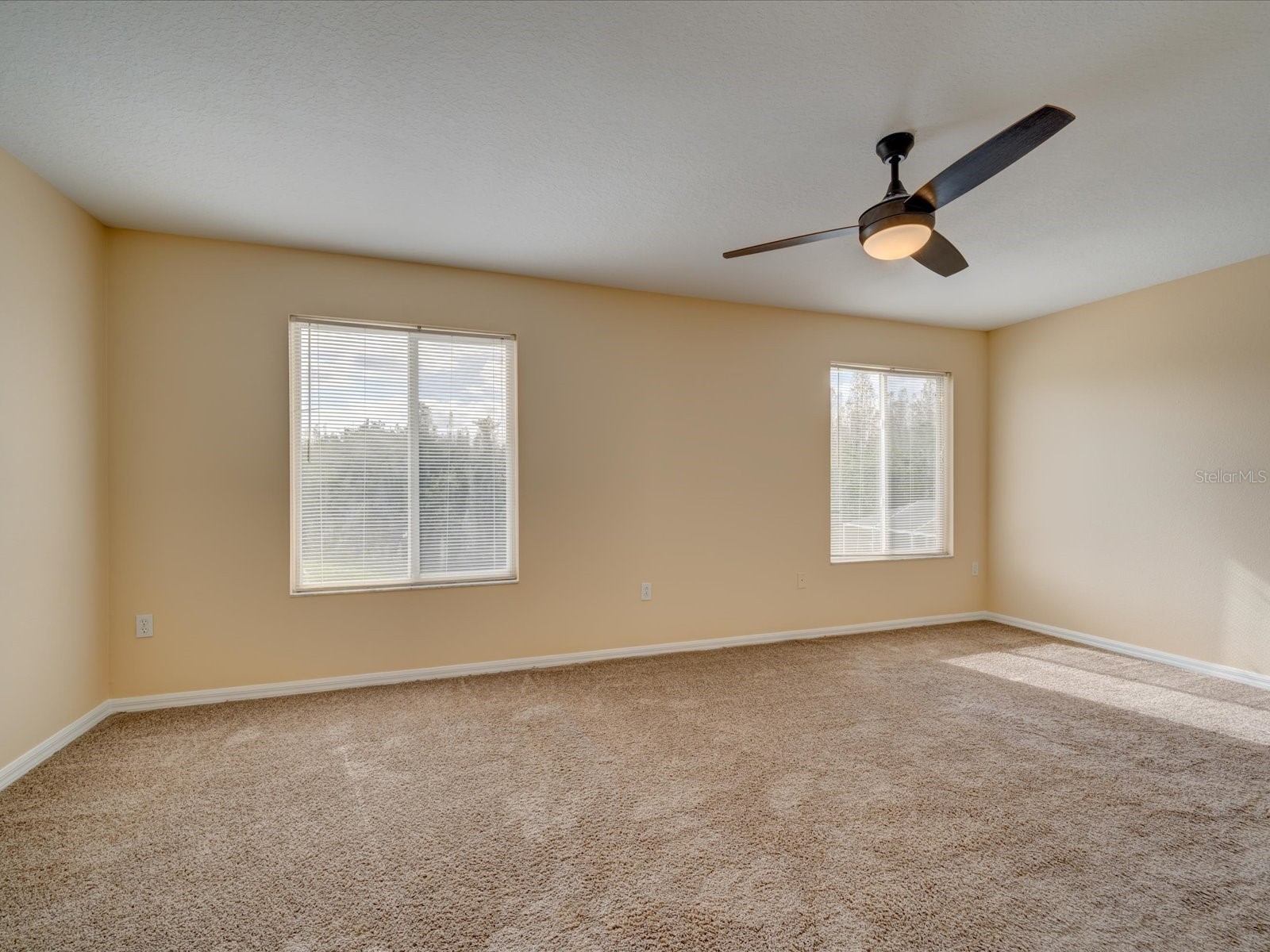 4230 Harbor Lake Drive Lutz FL 33558 TB8503672 image25