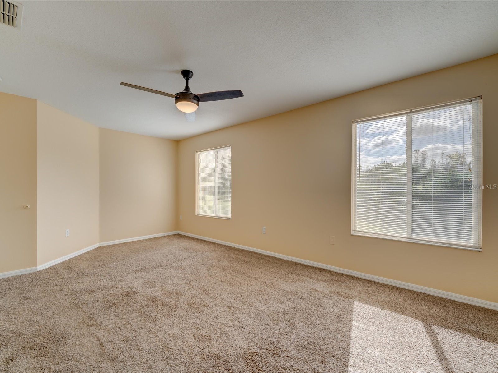 4230 Harbor Lake Drive Lutz FL 33558 TB8503672 image27