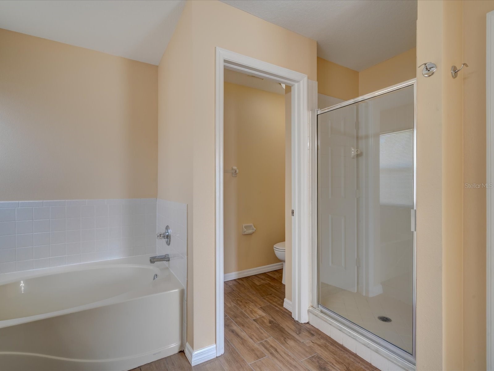 4230 Harbor Lake Drive Lutz FL 33558 TB8503672 image29