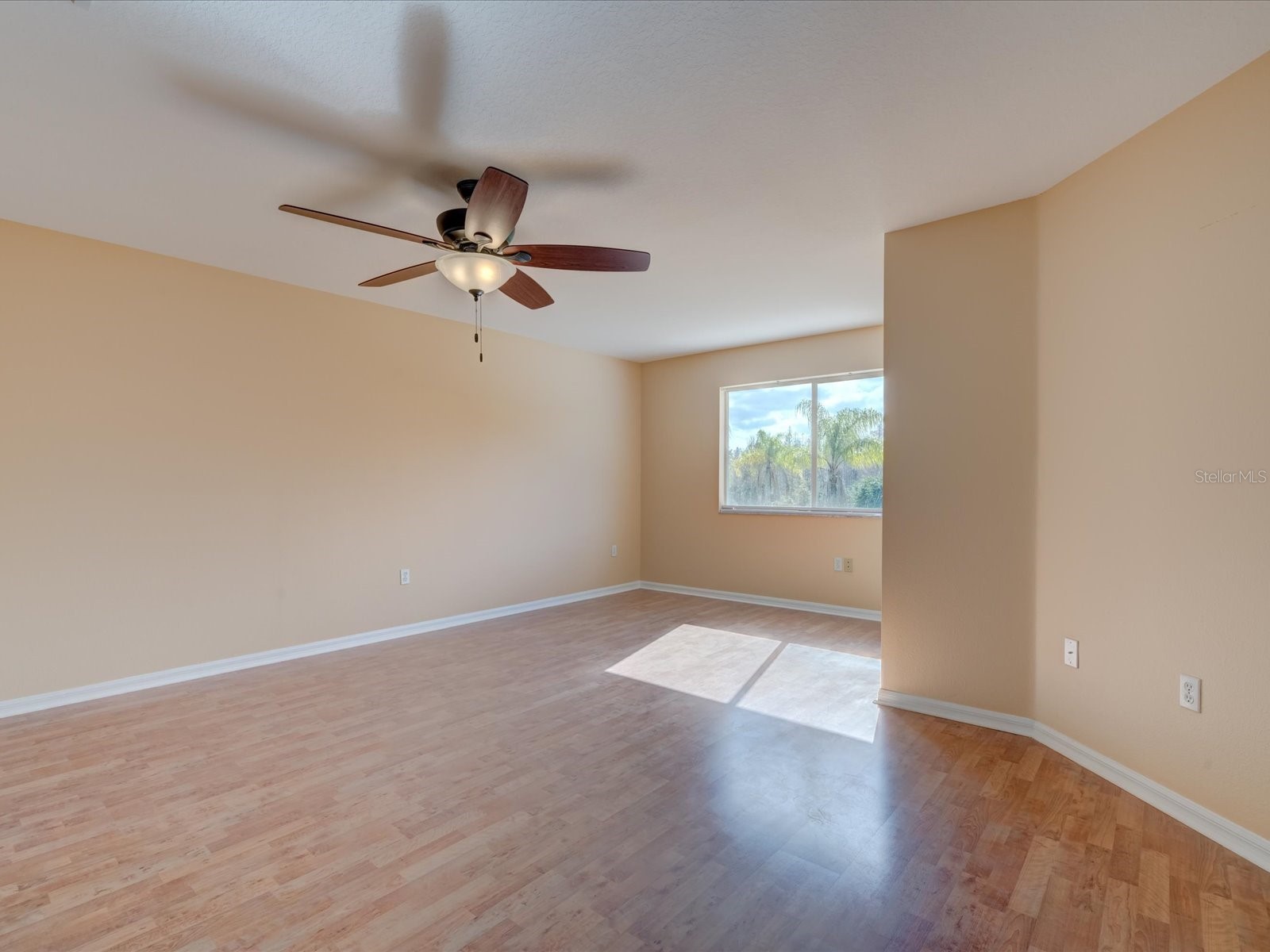 4230 Harbor Lake Drive Lutz FL 33558 TB8503672 image30