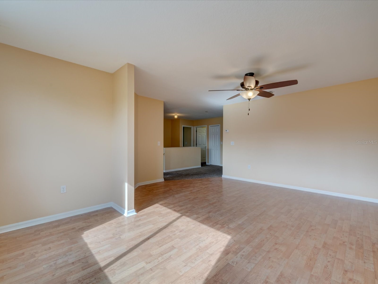 4230 Harbor Lake Drive Lutz FL 33558 TB8503672 image31
