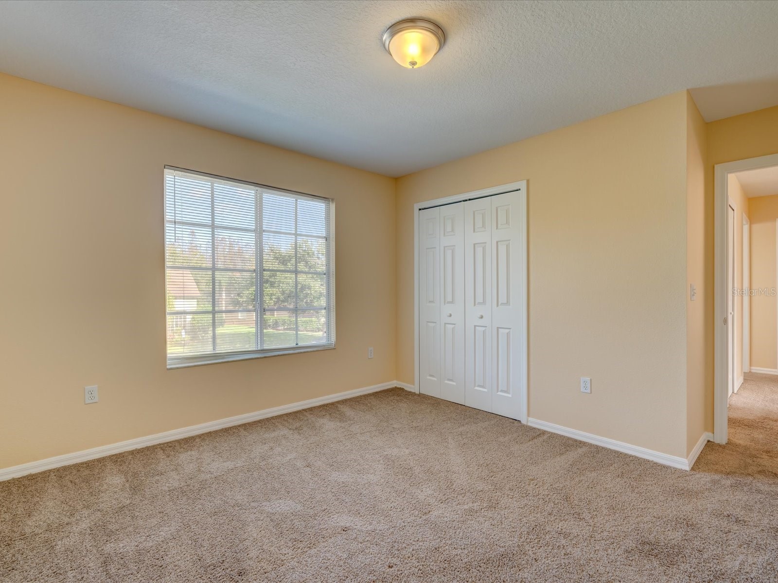 4230 Harbor Lake Drive Lutz FL 33558 TB8503672 image34