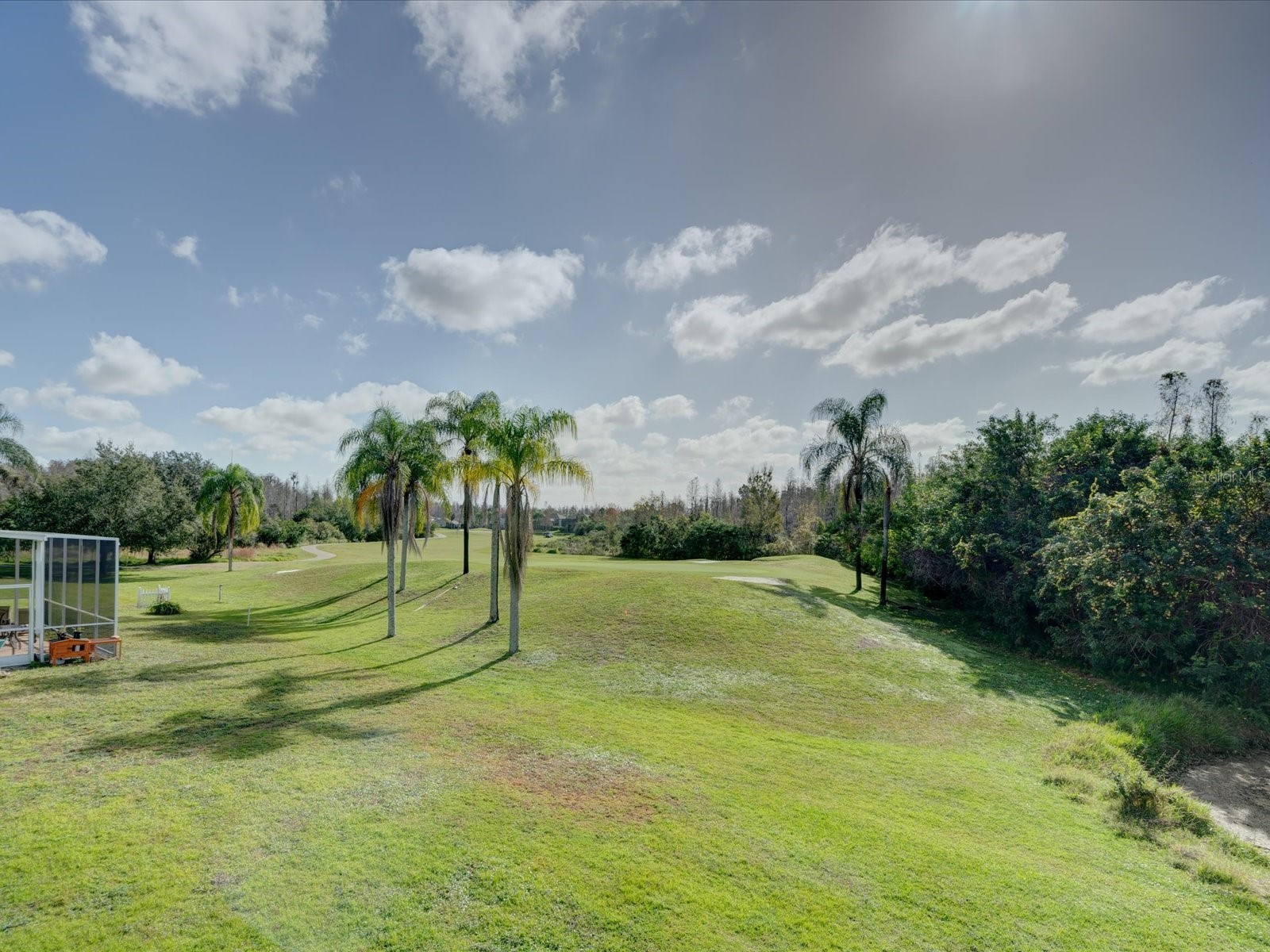 4230 Harbor Lake Drive Lutz FL 33558 TB8503672 image38