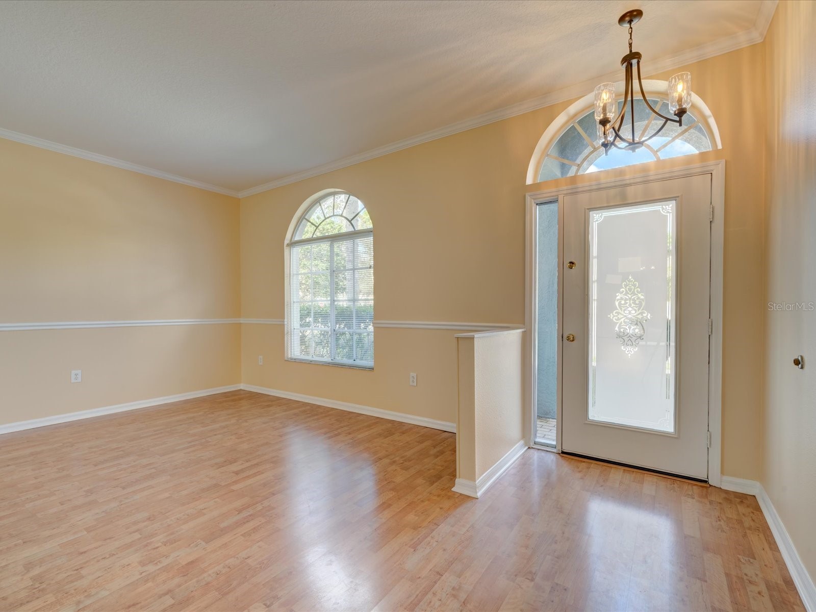 4230 Harbor Lake Drive Lutz FL 33558 TB8503672 image4