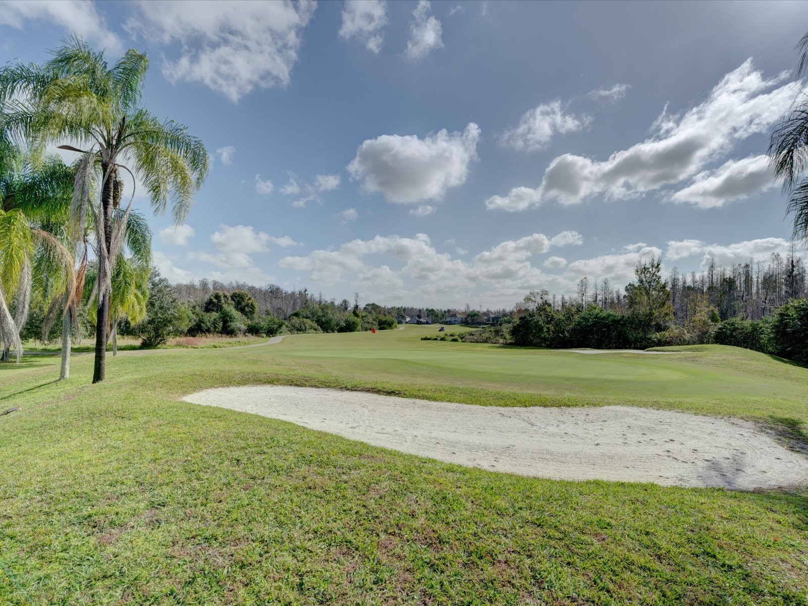 4230 Harbor Lake Drive Lutz FL 33558 TB8503672 image40