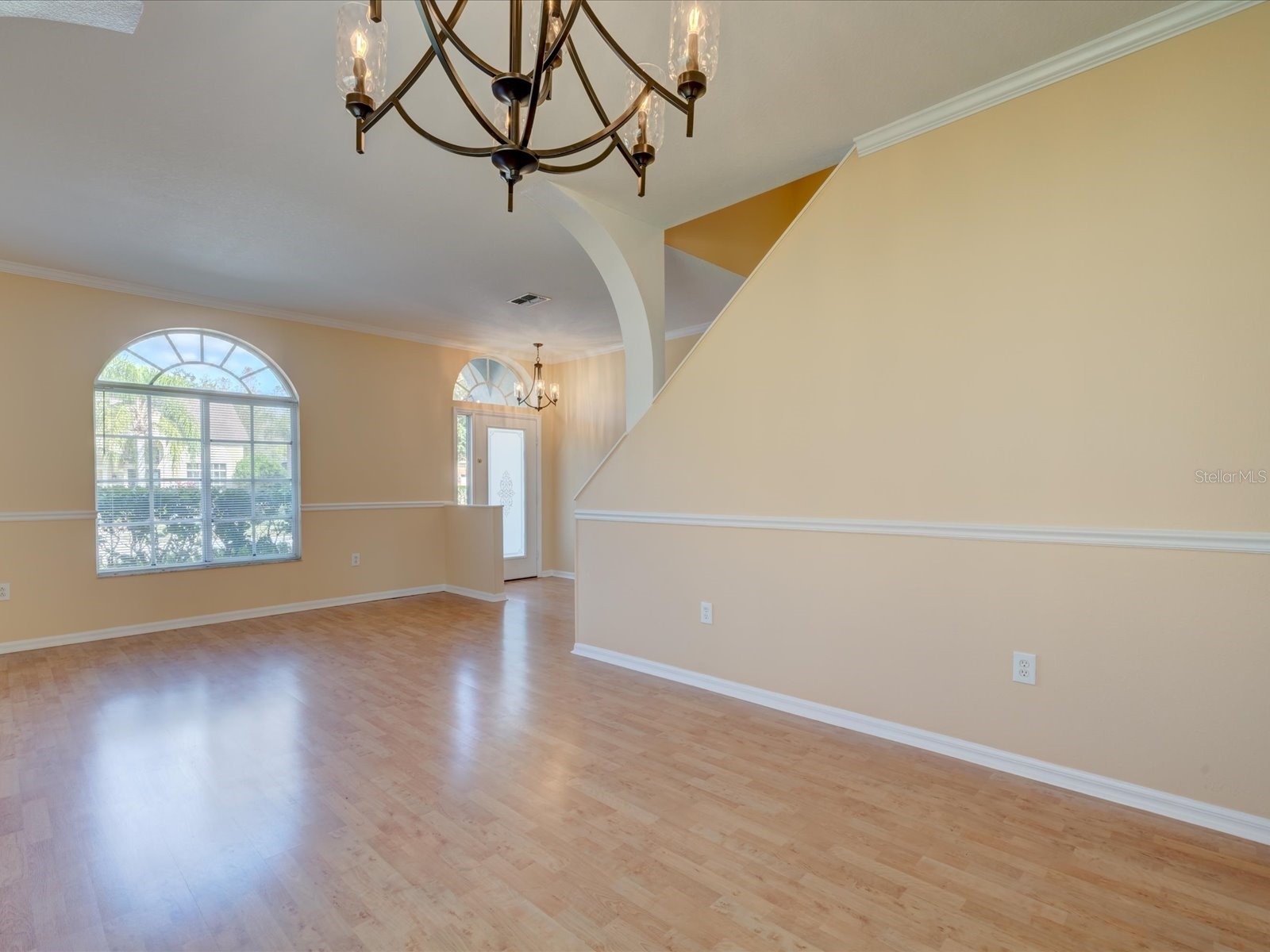 4230 Harbor Lake Drive Lutz FL 33558 TB8503672 image9