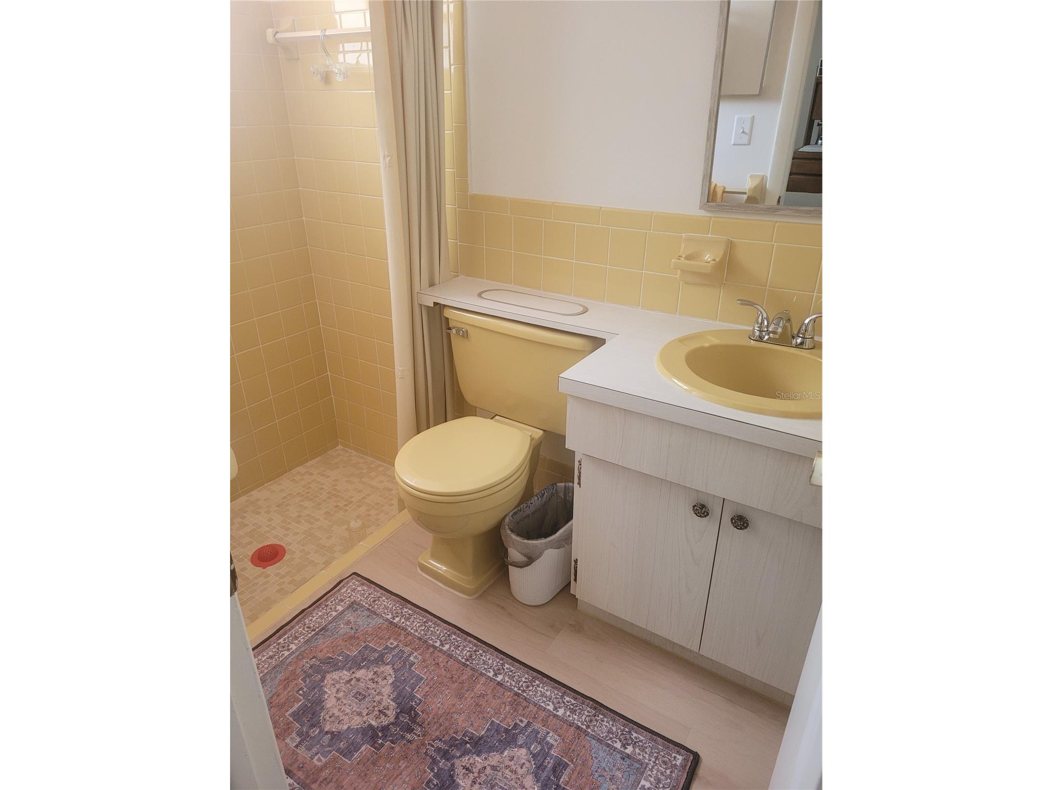 4230 Redcliff Place #4230 New Port Richey FL 34652 W7885849 image17