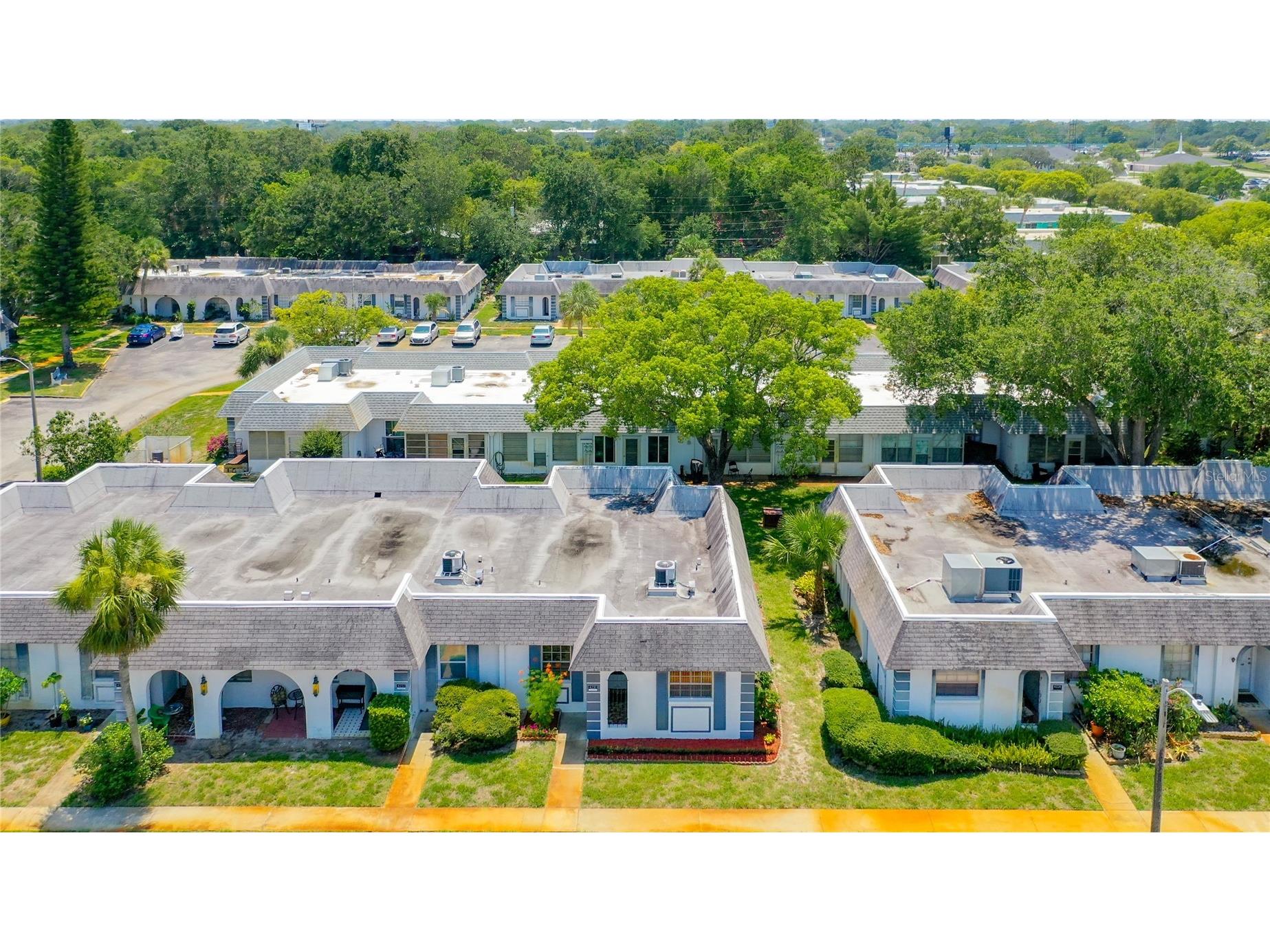 4230 Redcliff Place #4230 New Port Richey FL 34652 W7885849 image39