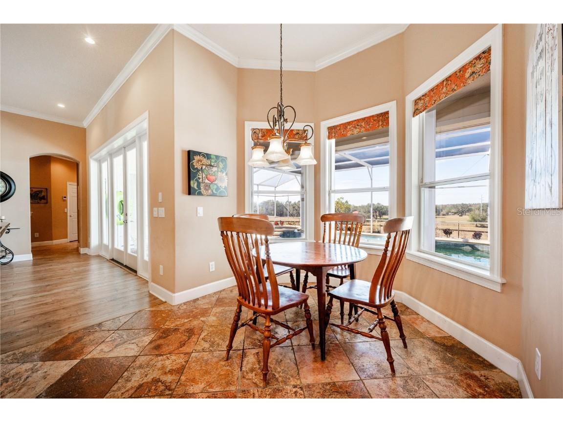 4230 Rex Drive Winter Garden FL 34787 O6274608 image18