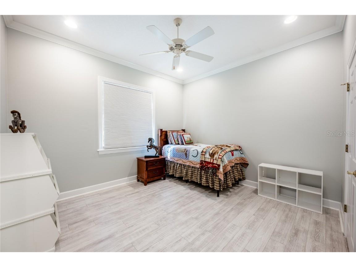 4230 Rex Drive Winter Garden FL 34787 O6274608 image24