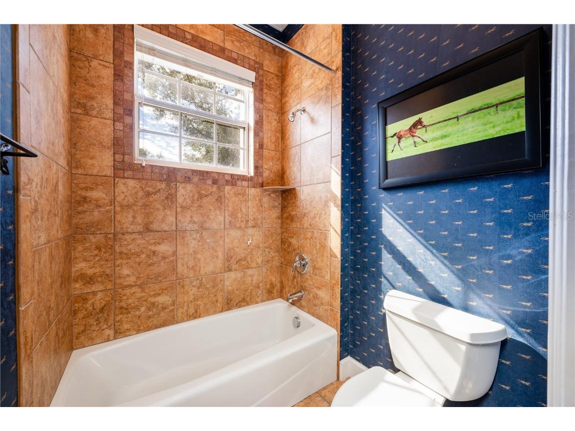 4230 Rex Drive Winter Garden FL 34787 O6274608 image26