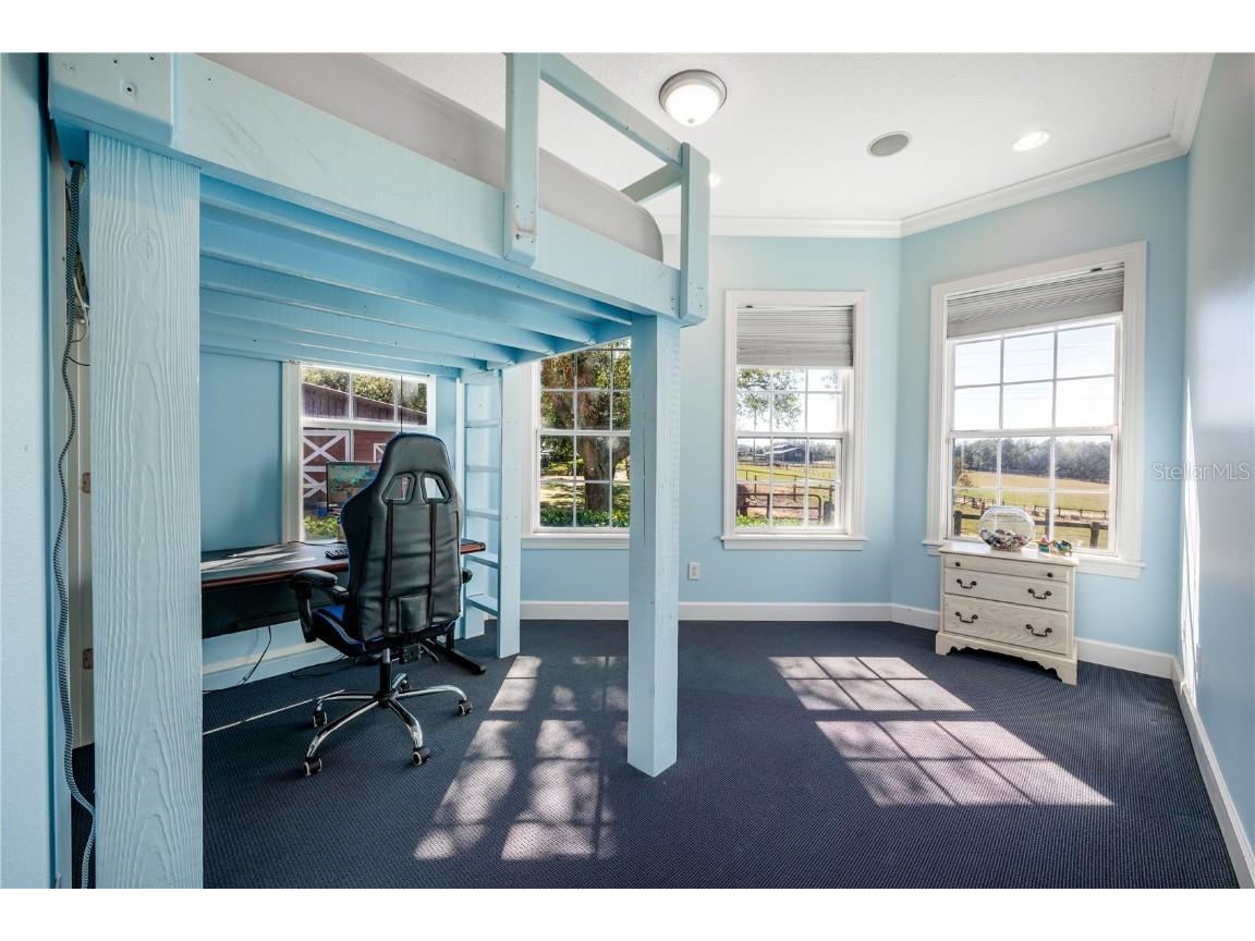 4230 Rex Drive Winter Garden FL 34787 O6274608 image27