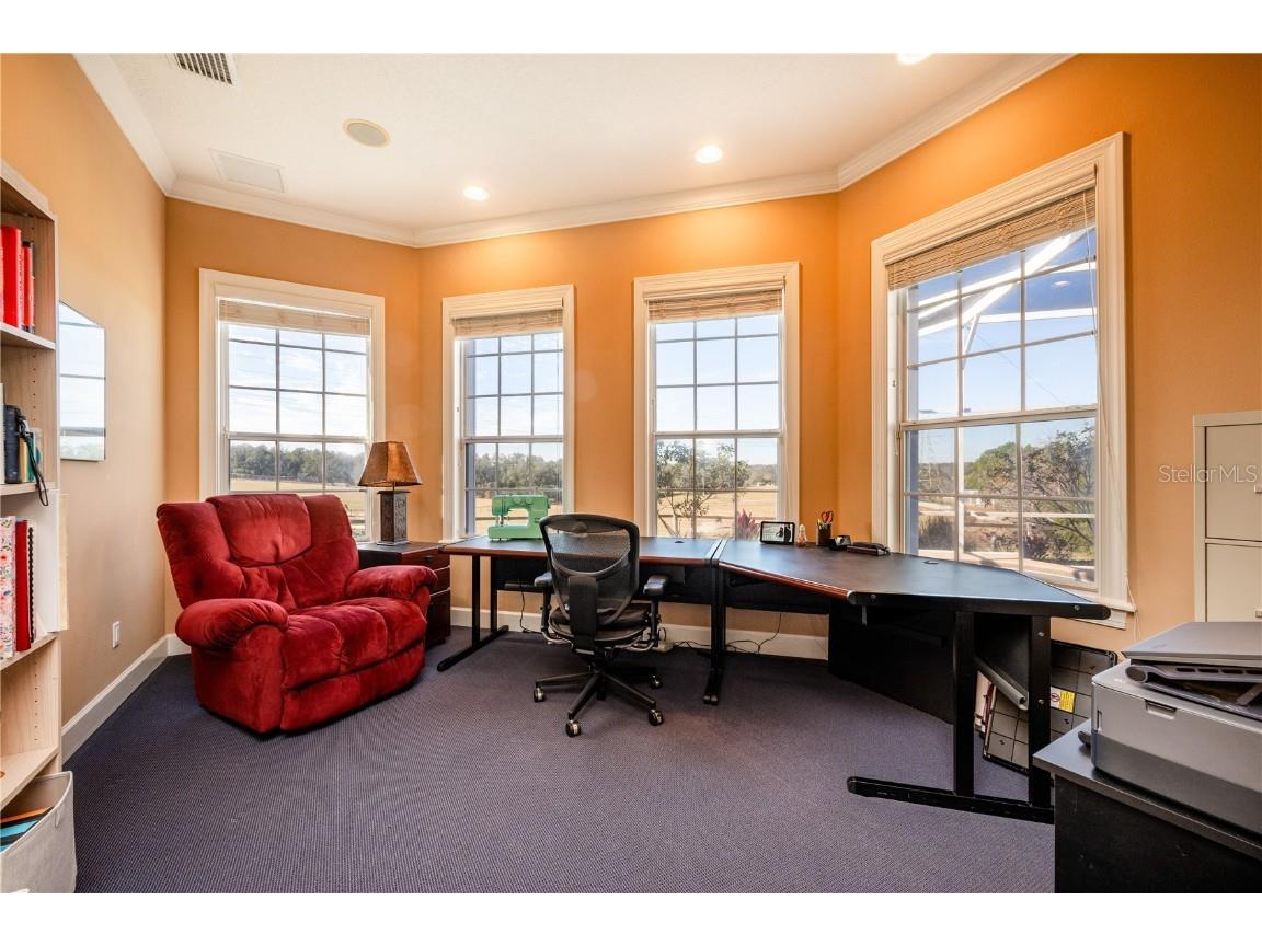 4230 Rex Drive Winter Garden FL 34787 O6274608 image28