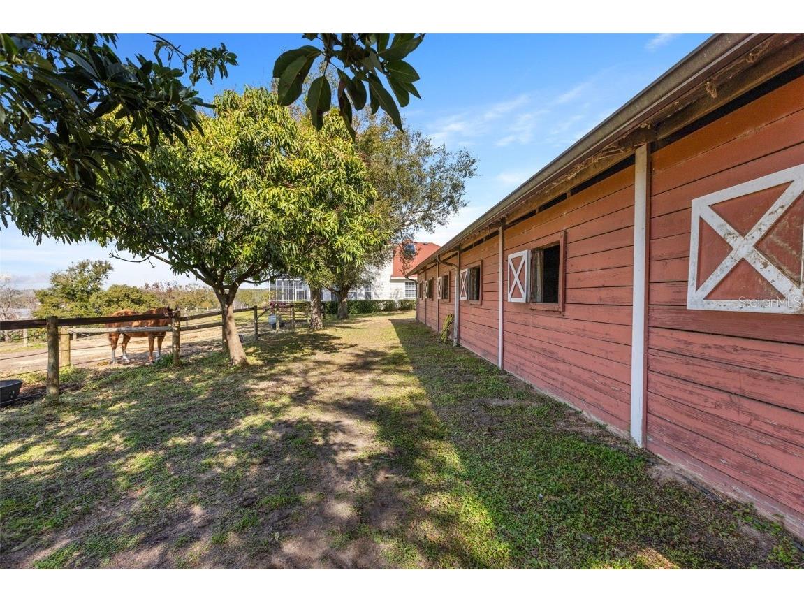 4230 Rex Drive Winter Garden FL 34787 O6274608 image38