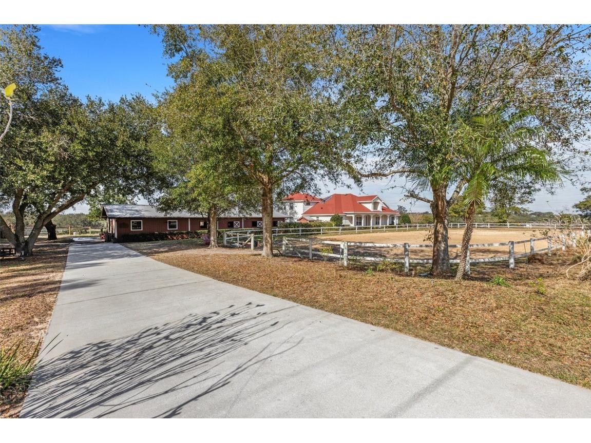 4230 Rex Drive Winter Garden FL 34787 O6274608 image39