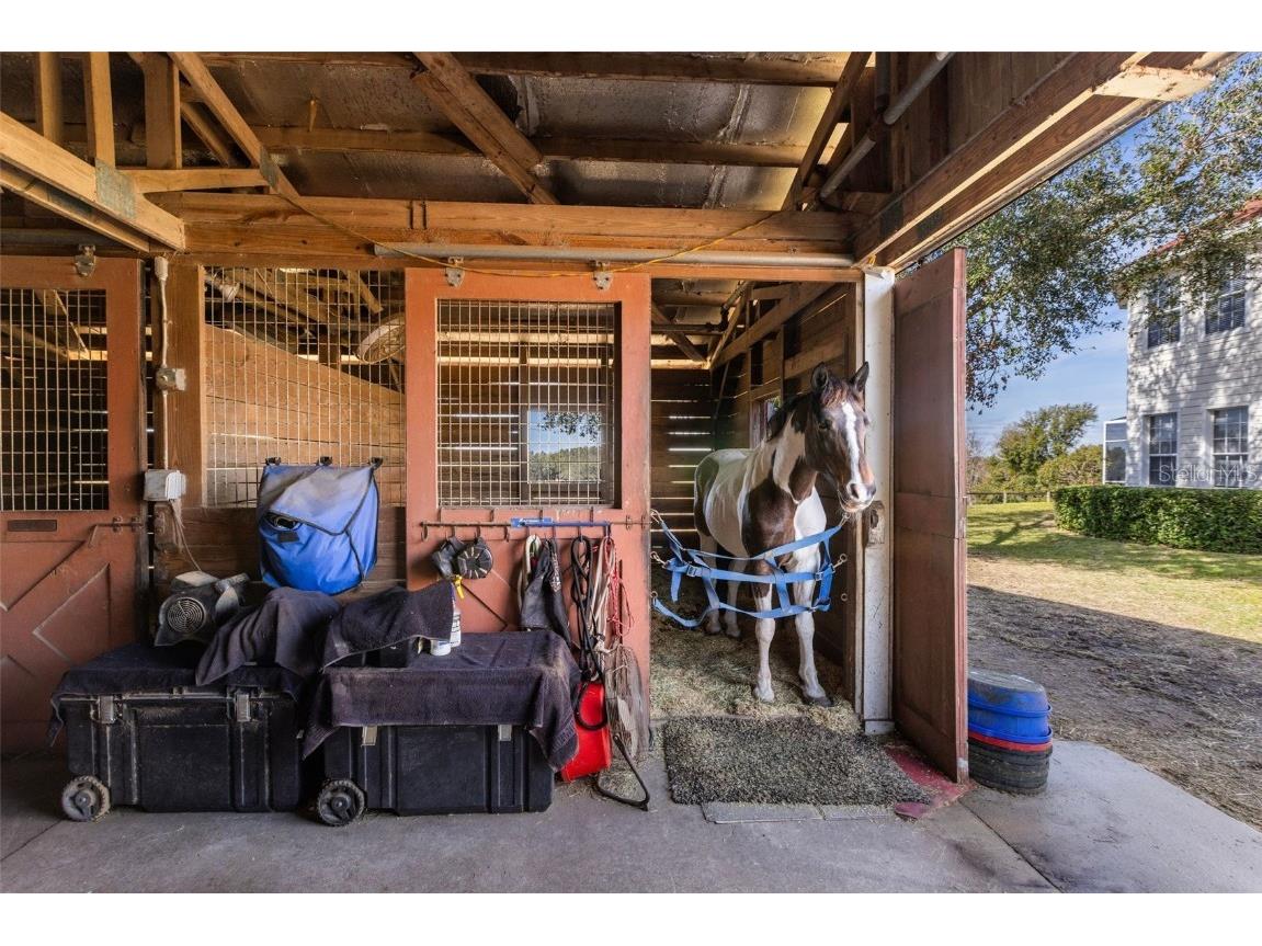 4230 Rex Drive Winter Garden FL 34787 O6274608 image42