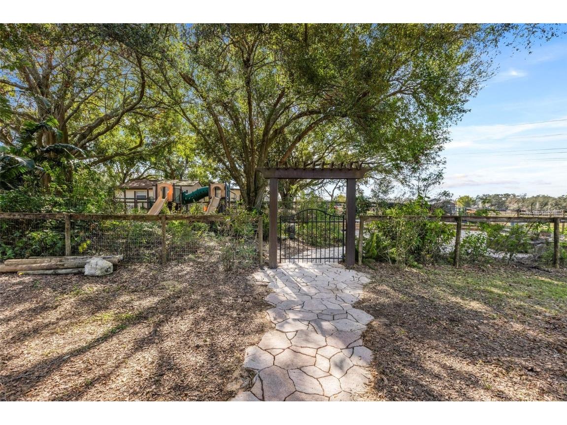 4230 Rex Drive Winter Garden FL 34787 O6274608 image43