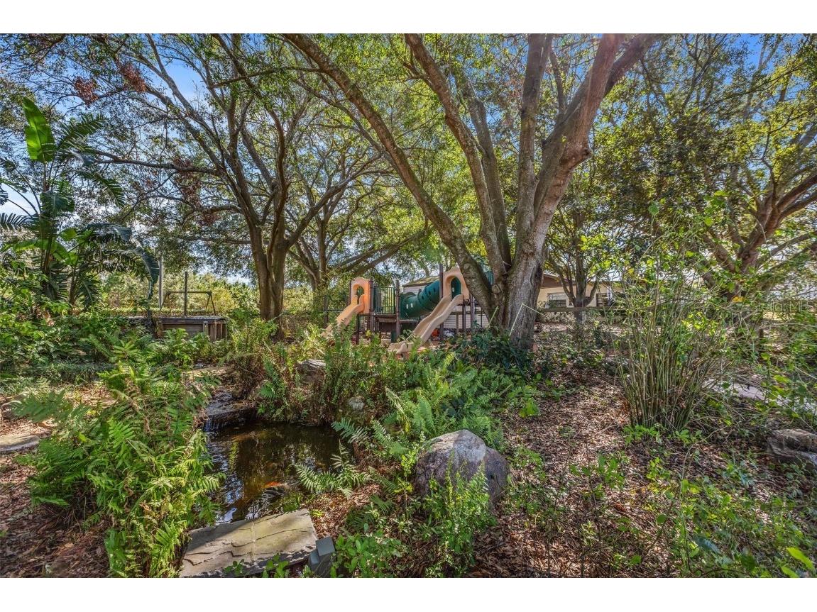 4230 Rex Drive Winter Garden FL 34787 O6274608 image45