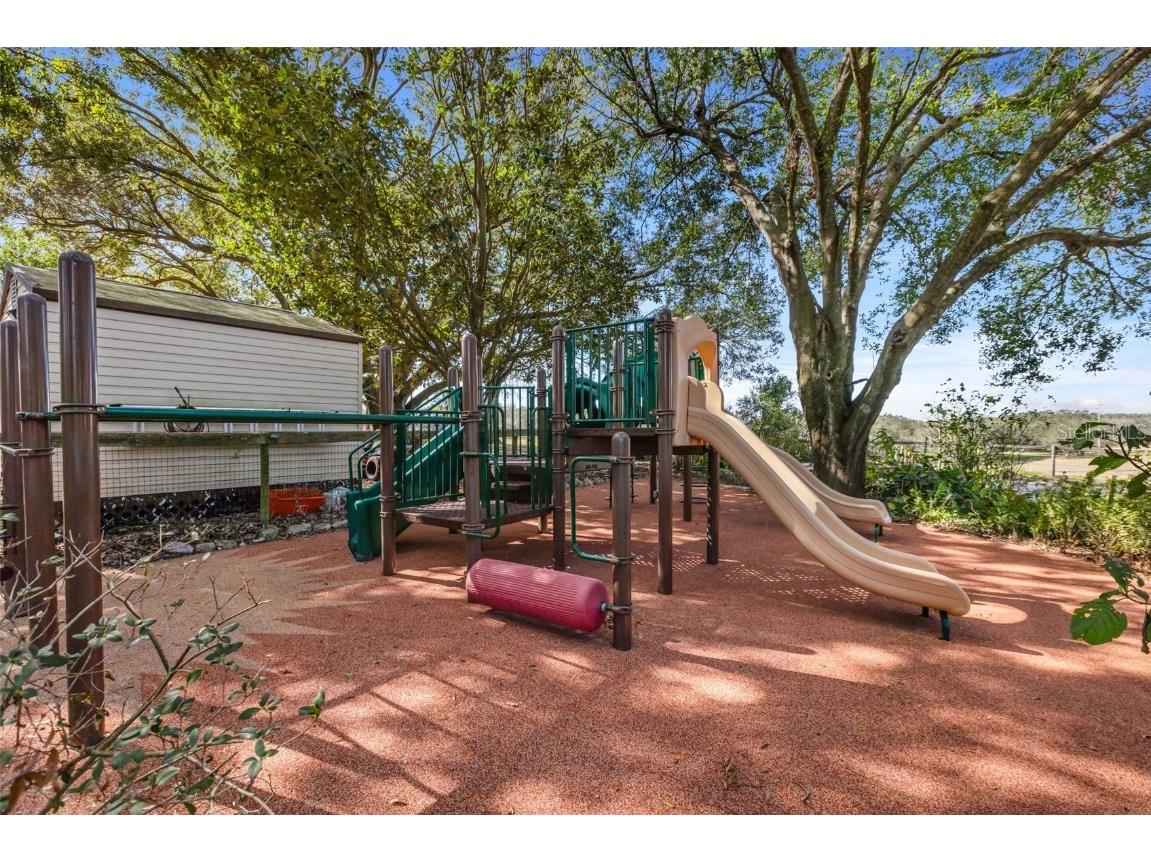 4230 Rex Drive Winter Garden FL 34787 O6274608 image46