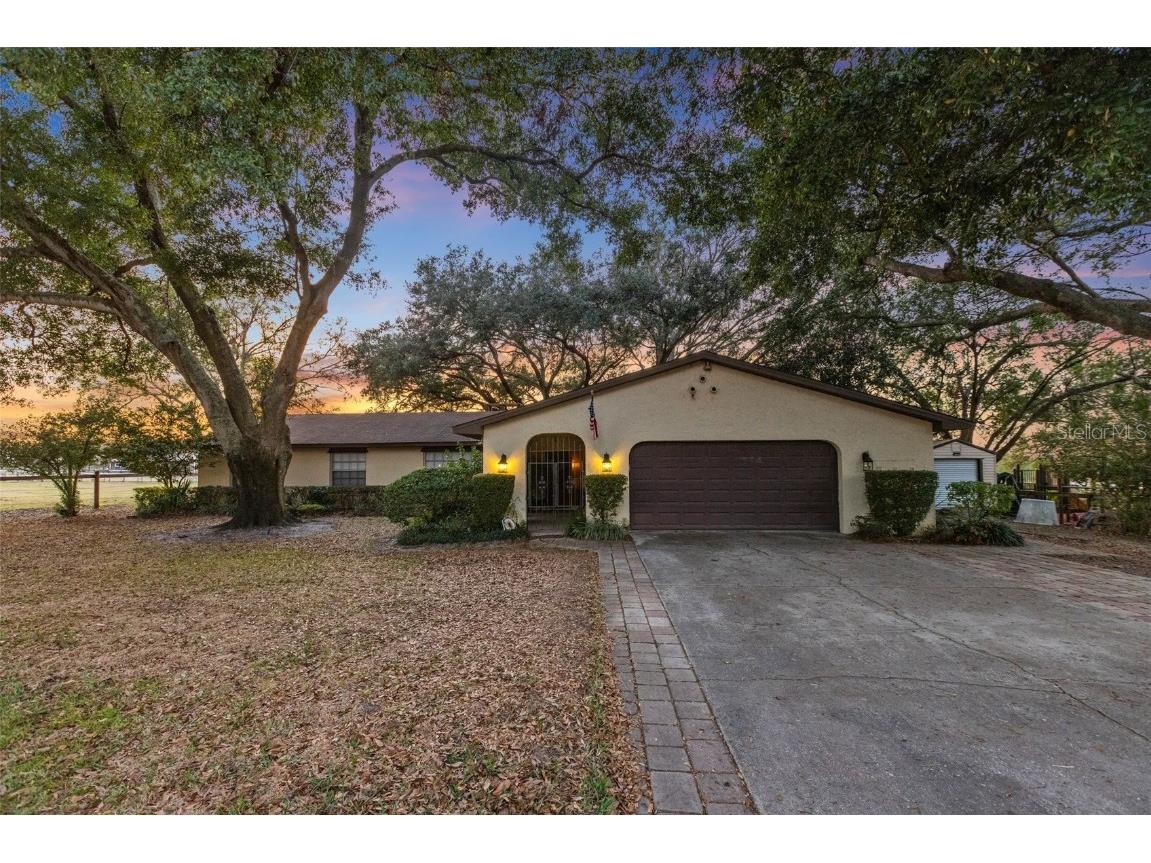 4230 Rex Drive Winter Garden FL 34787 O6274608 image47