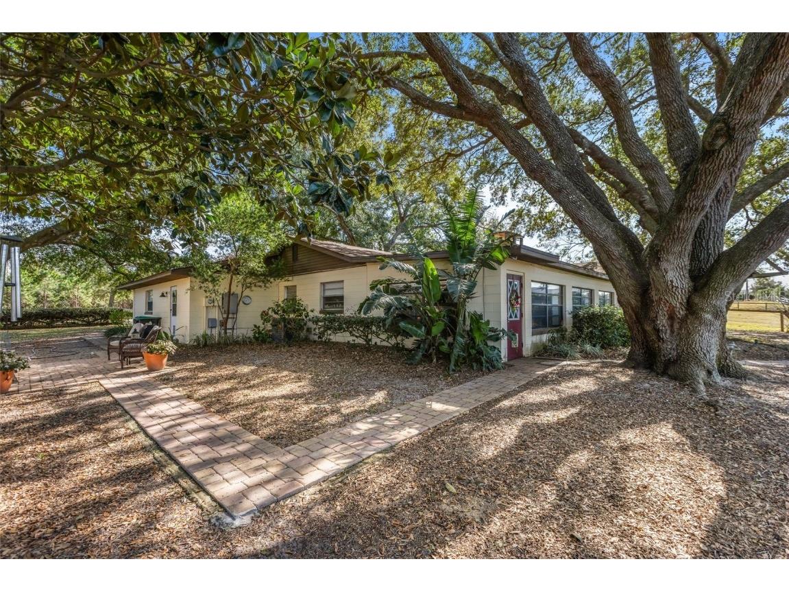 4230 Rex Drive Winter Garden FL 34787 O6274608 image48