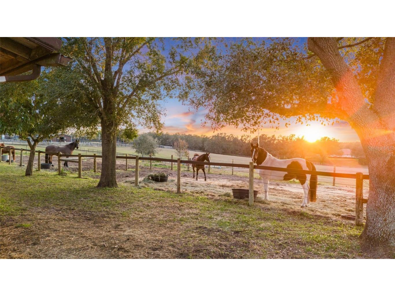 4230 Rex Drive Winter Garden FL 34787 O6274608 image5