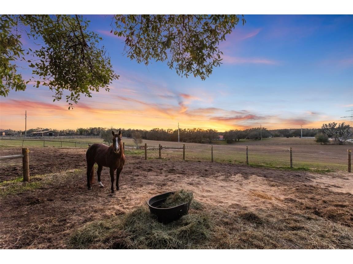 4230 Rex Drive Winter Garden FL 34787 O6274608 image58