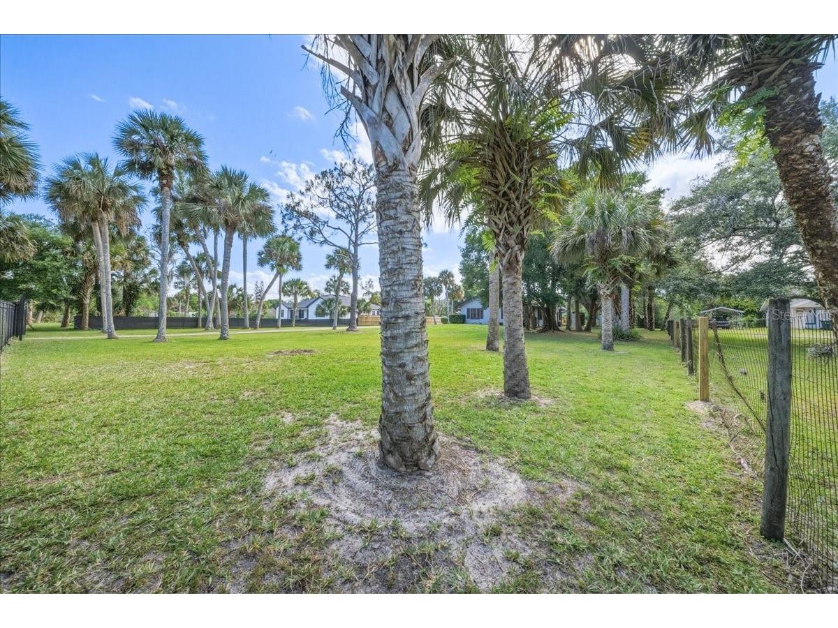 4230 Tangerine Street Cocoa FL 32926 O6403202 image47