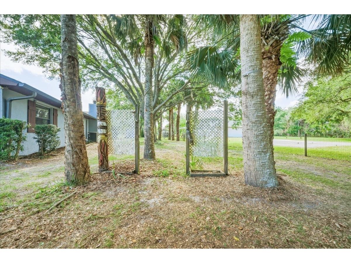4230 Tangerine Street Cocoa FL 32926 O6403202 image51