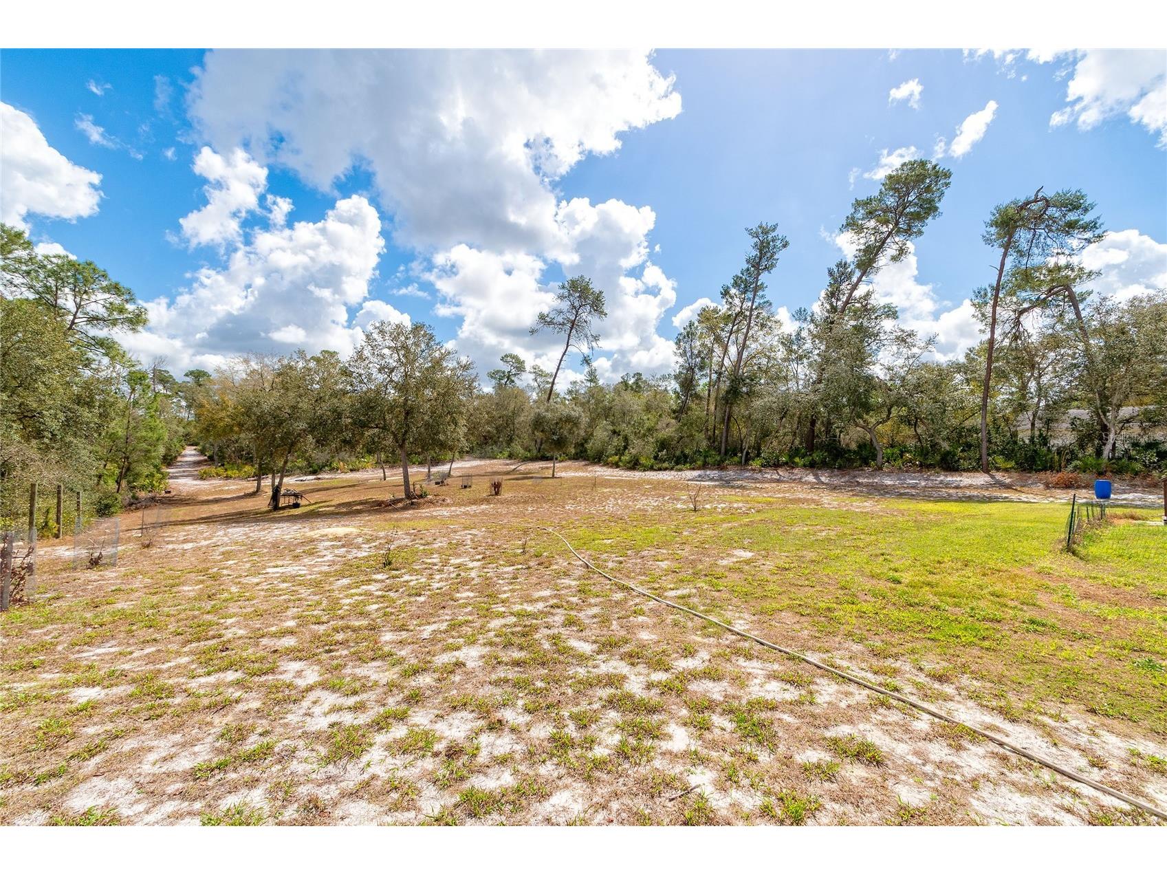 42300 Fonseca Lane Deland FL 32720 O6382810 image10