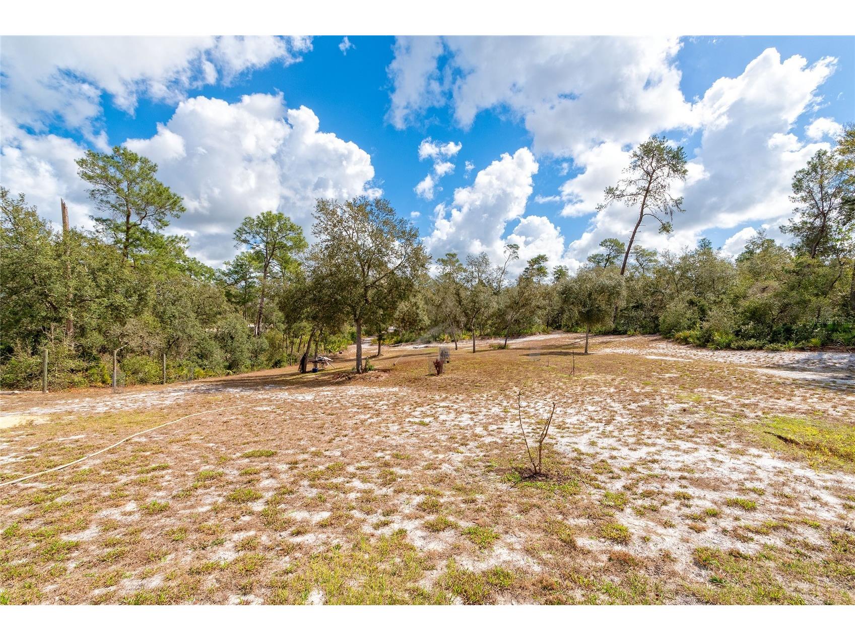 42300 Fonseca Lane Deland FL 32720 O6382810 image12