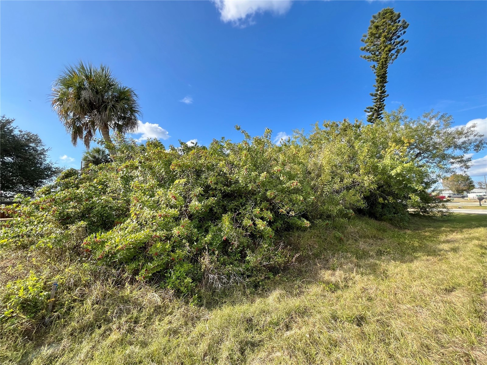 4231 Oneill Street Port Charlotte FL 33948 C7521021 image3