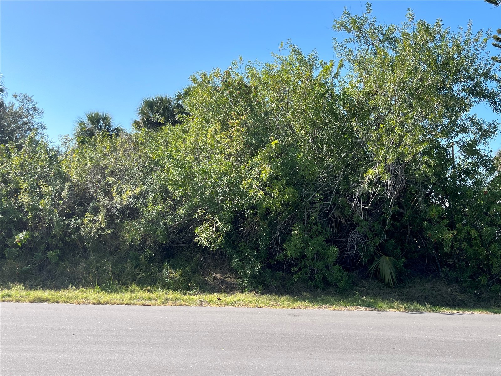4231 Oneill Street Port Charlotte FL 33948 C7521021 image5