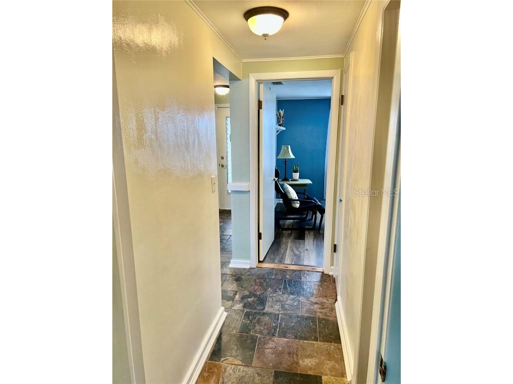 4231 Tamargo Drive #3 New Port Richey FL 34652 TB8343399 image13