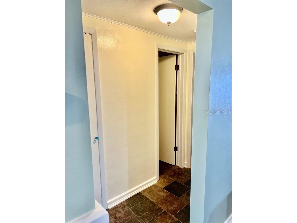 4231 Tamargo Drive #3 New Port Richey FL 34652 TB8343399 image14