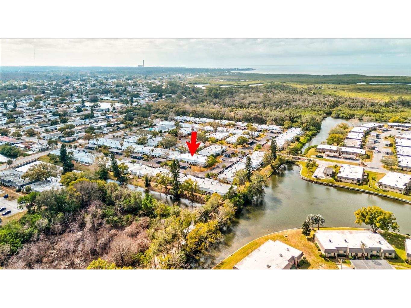 4231 Tamargo Drive #3 New Port Richey FL 34652 TB8343399 image2