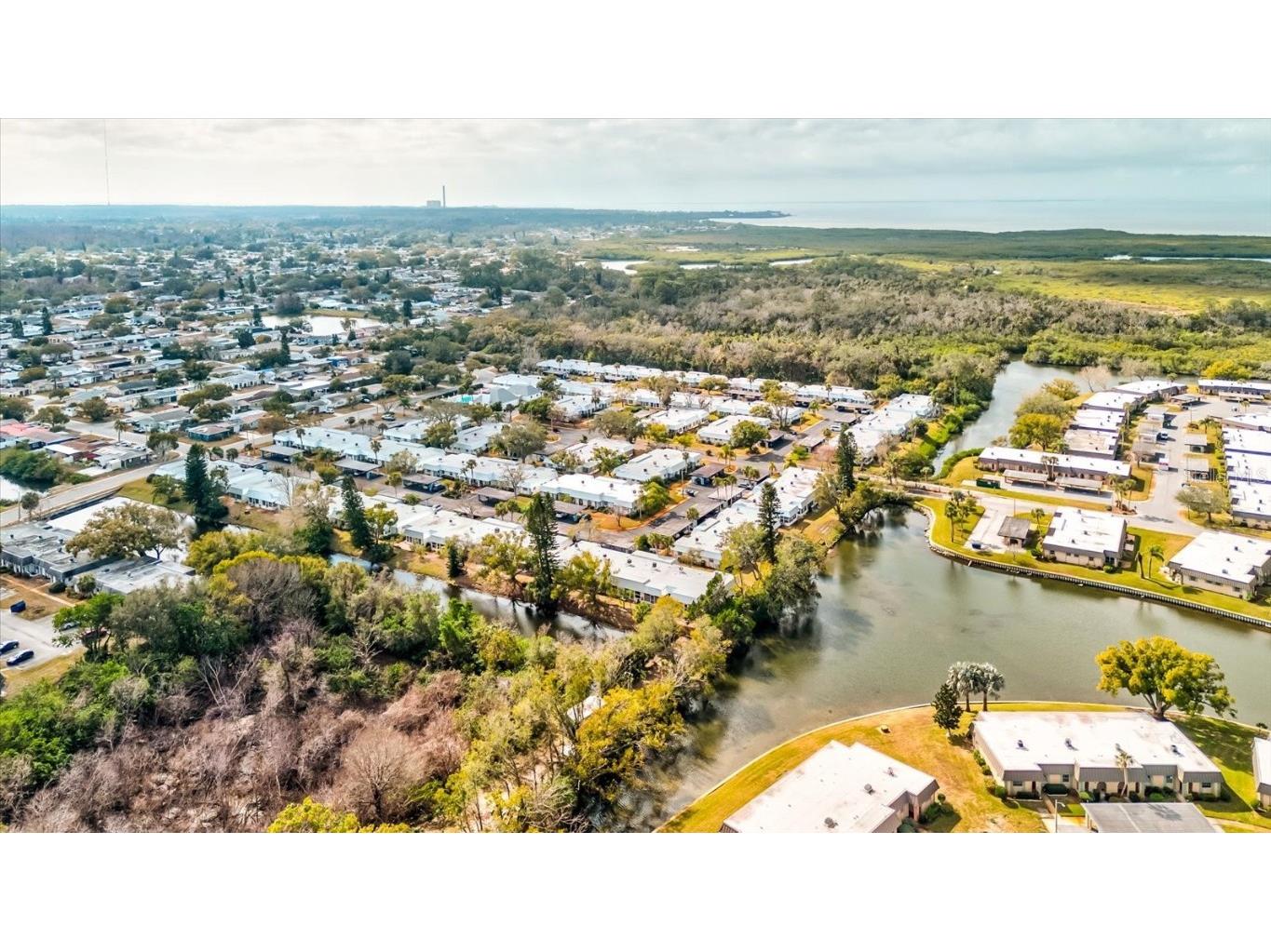 4231 Tamargo Drive #3 New Port Richey FL 34652 TB8343399 image38