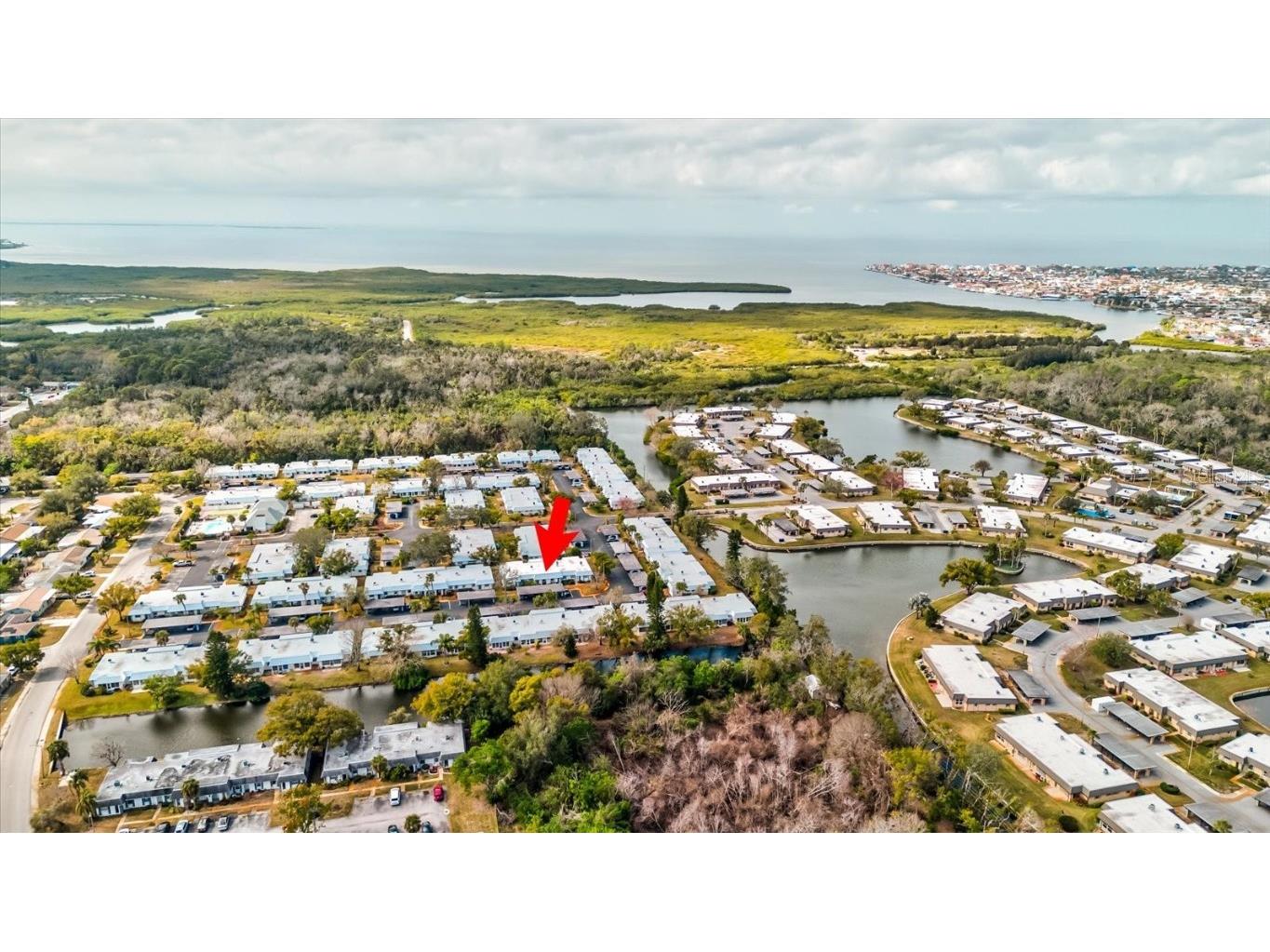 4231 Tamargo Drive #3 New Port Richey FL 34652 TB8343399 image39