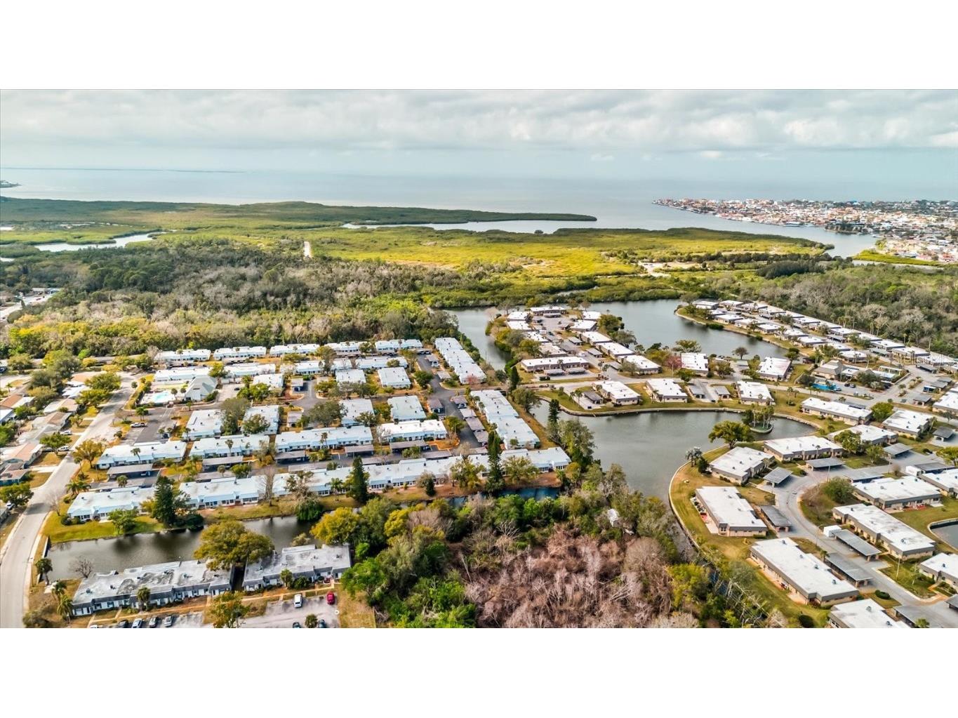 4231 Tamargo Drive #3 New Port Richey FL 34652 TB8343399 image40