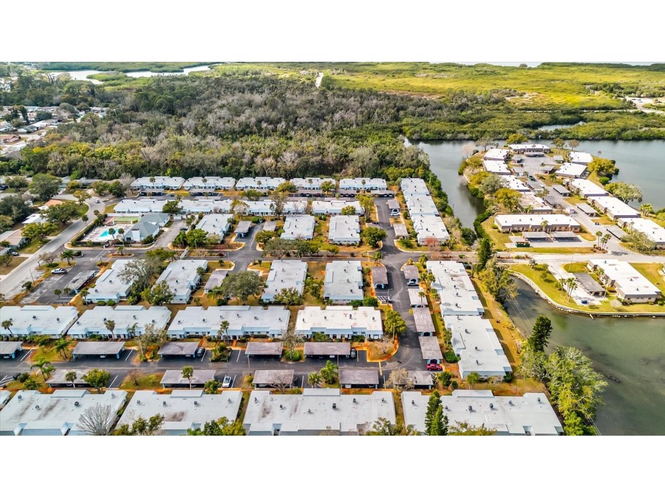 4231 Tamargo Drive #3 New Port Richey FL 34652 TB8343399 image42