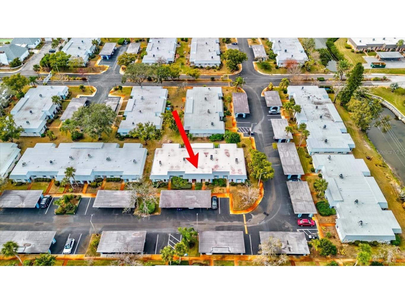 4231 Tamargo Drive #3 New Port Richey FL 34652 TB8343399 image43