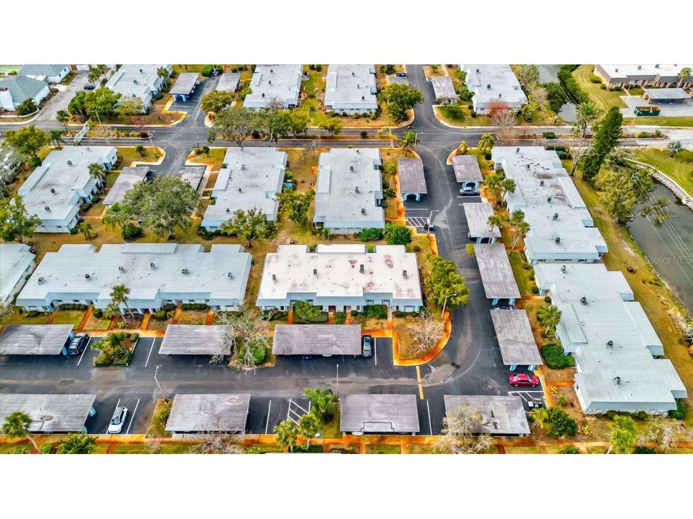 4231 Tamargo Drive #3 New Port Richey FL 34652 TB8343399 image44