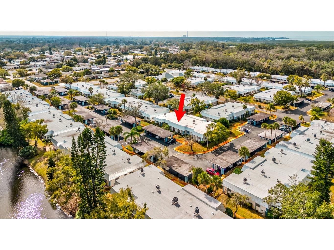 4231 Tamargo Drive #3 New Port Richey FL 34652 TB8343399 image45