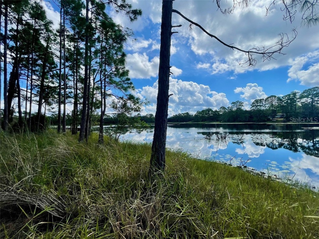 42318 W Lake Road Deland FL 32720 V4945125 image1