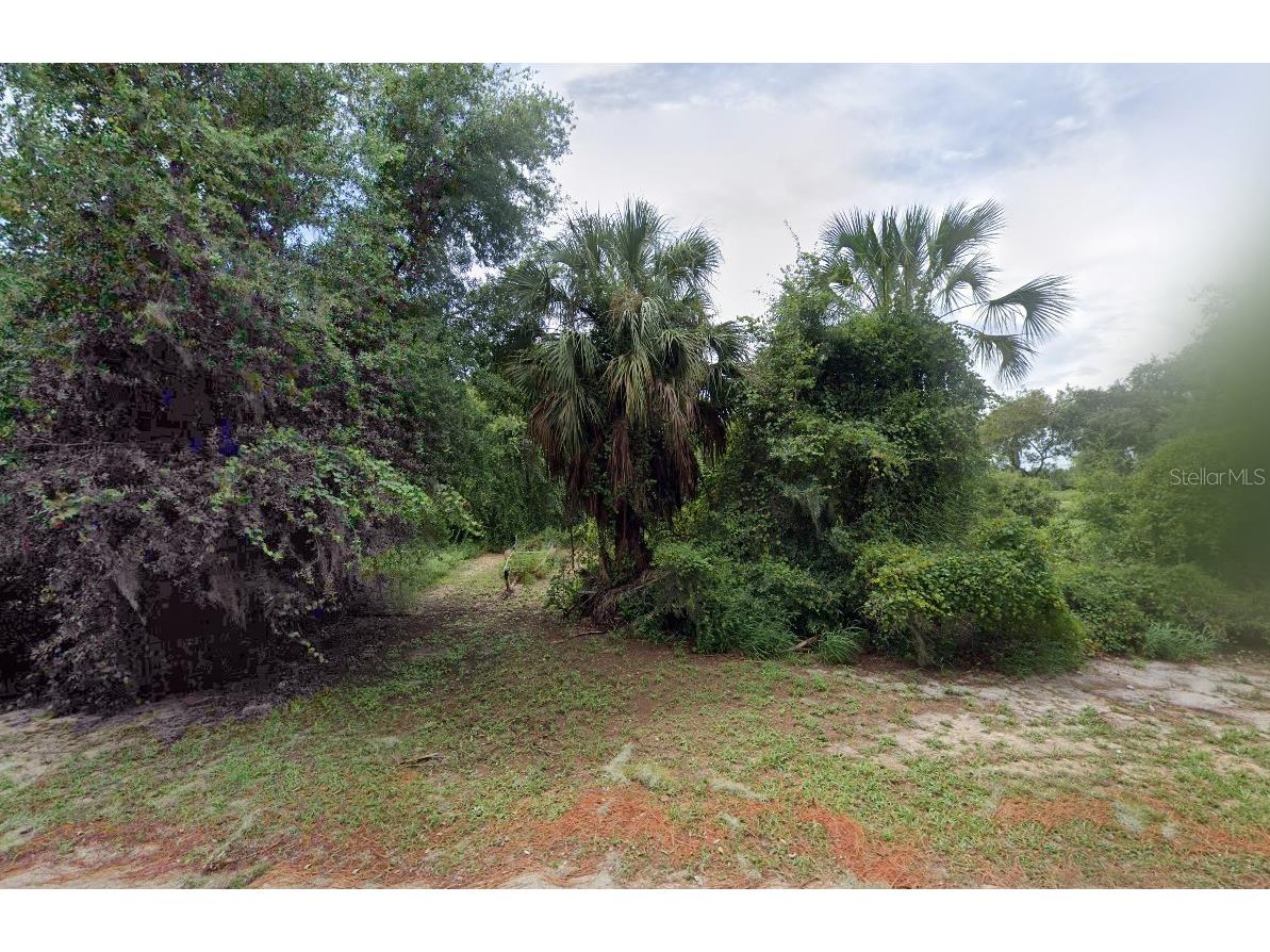 4232 Chamabers Street Lake Wales FL 33898 A4698721 image2